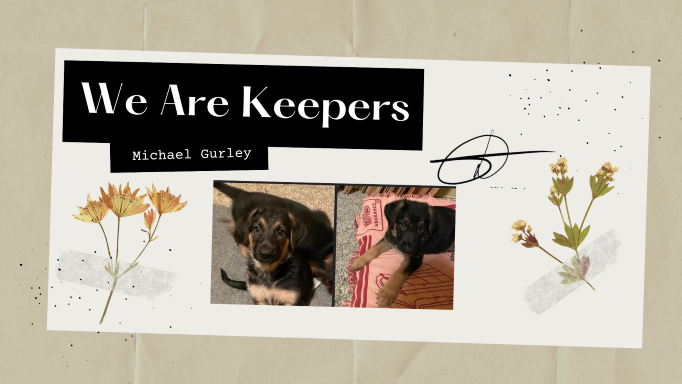 We Are Keepers