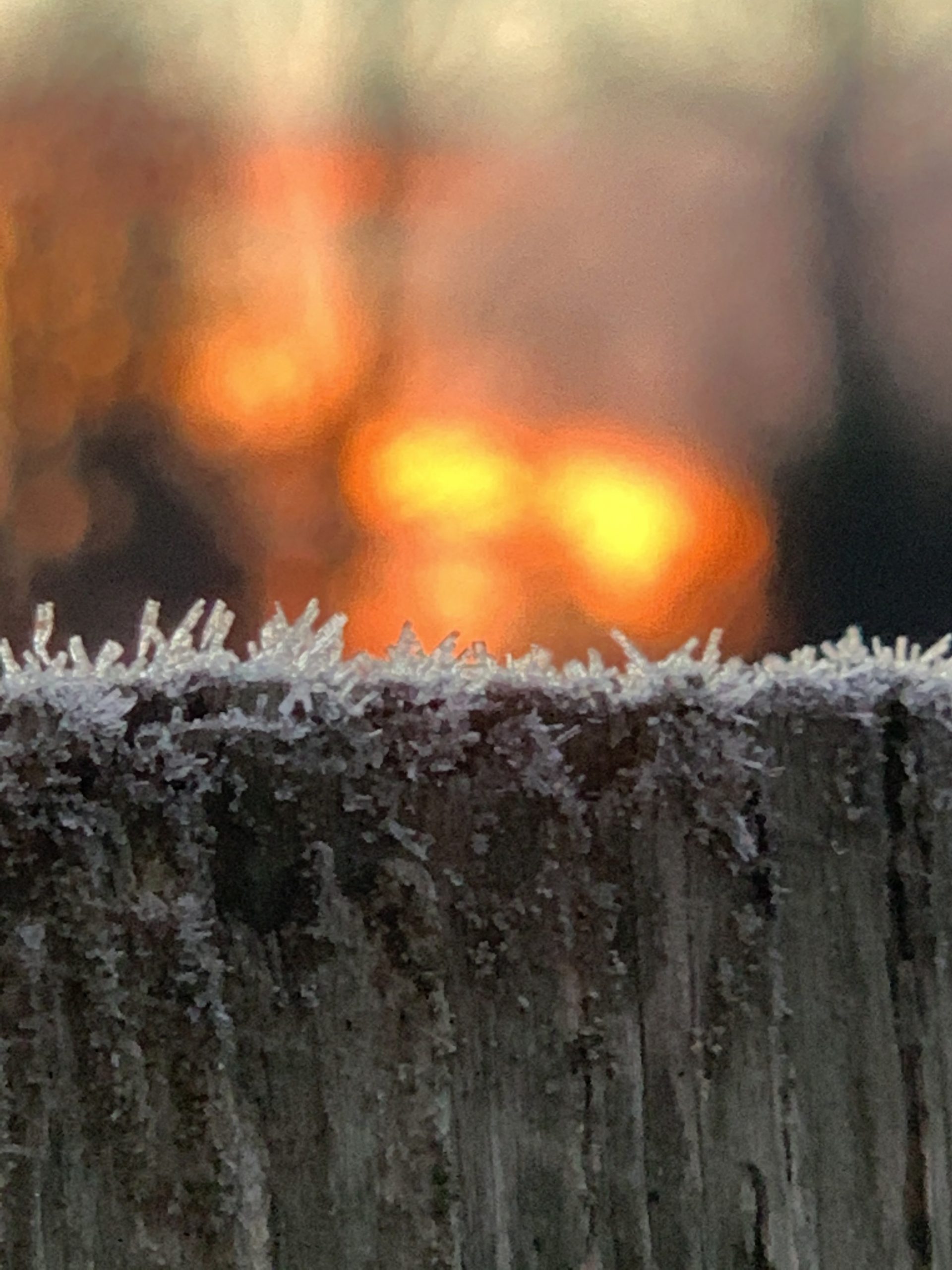Frosty fence post against a morning sun