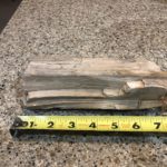 Petrified Wood found in Channelview
