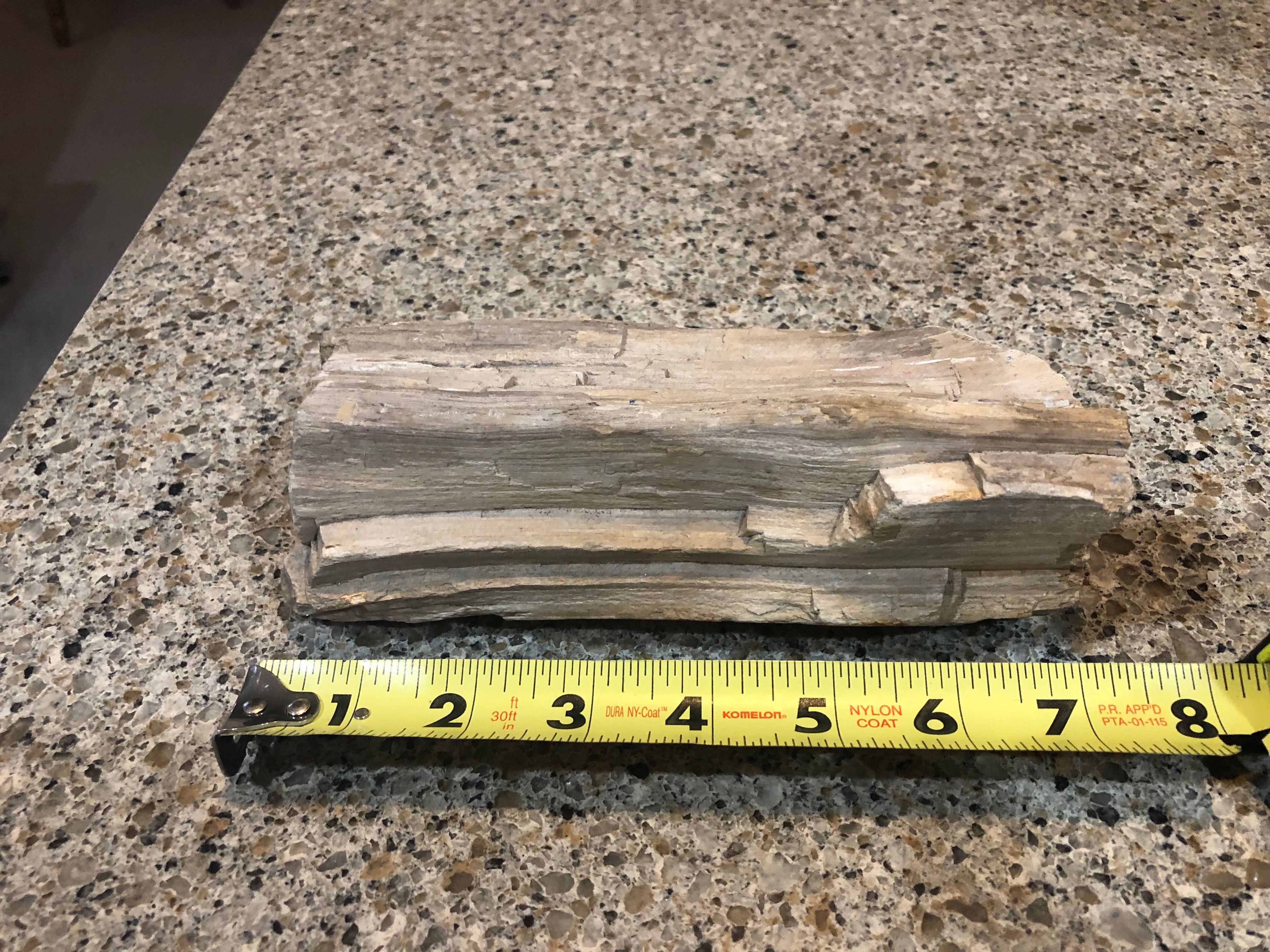 Petrified Wood found in Channelview