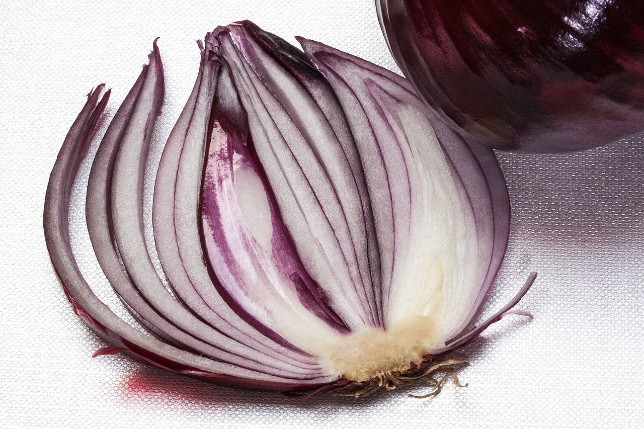 Layers of Life are like Layers of an Onion