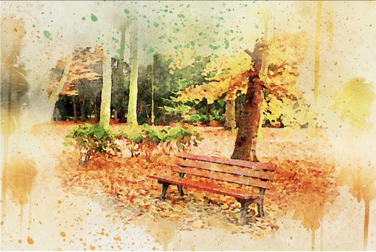 The Park Bench of a Wonderful Life