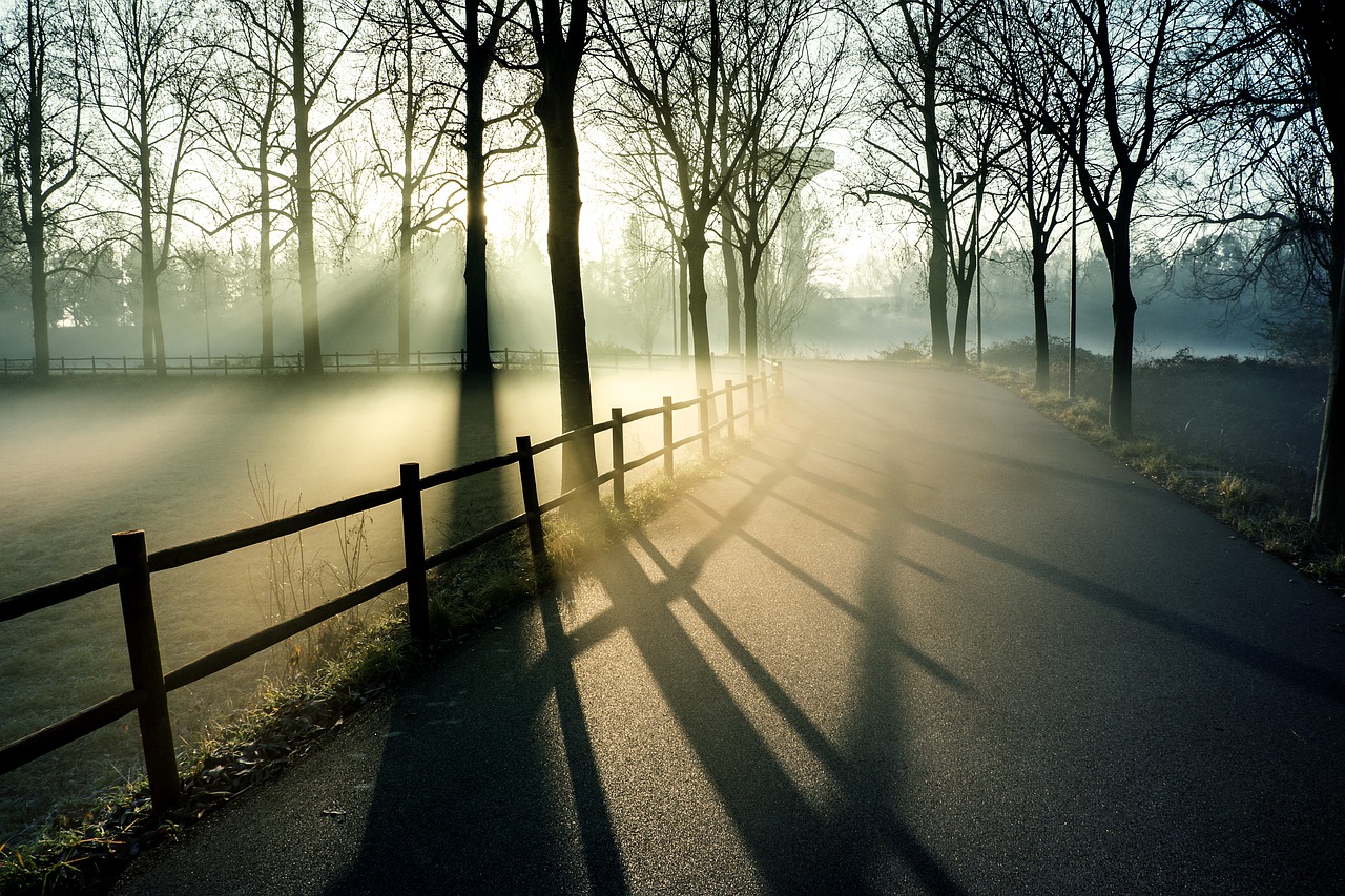 Morning Fog, Sun and Park