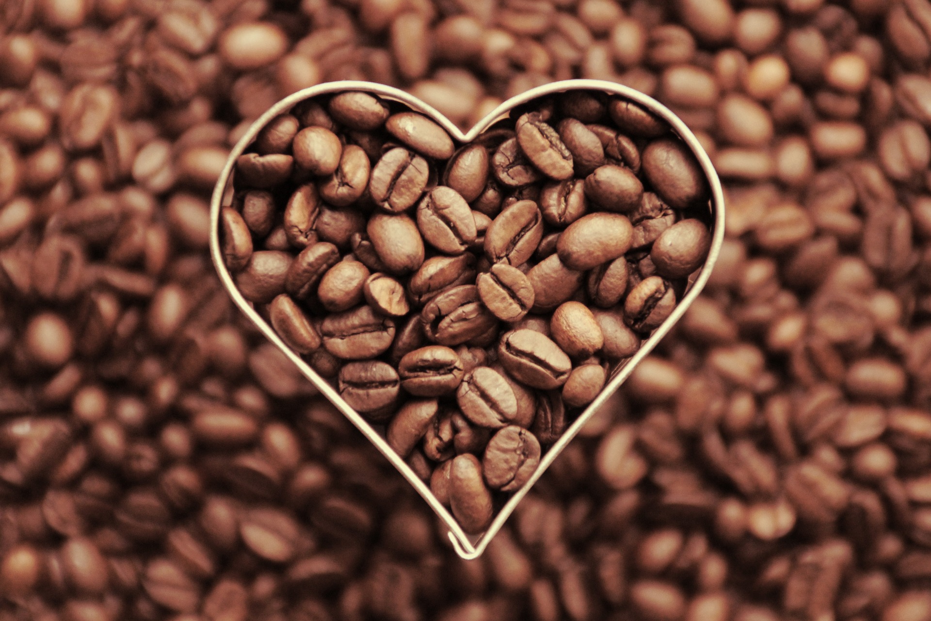 Savory moments of Coffee beans