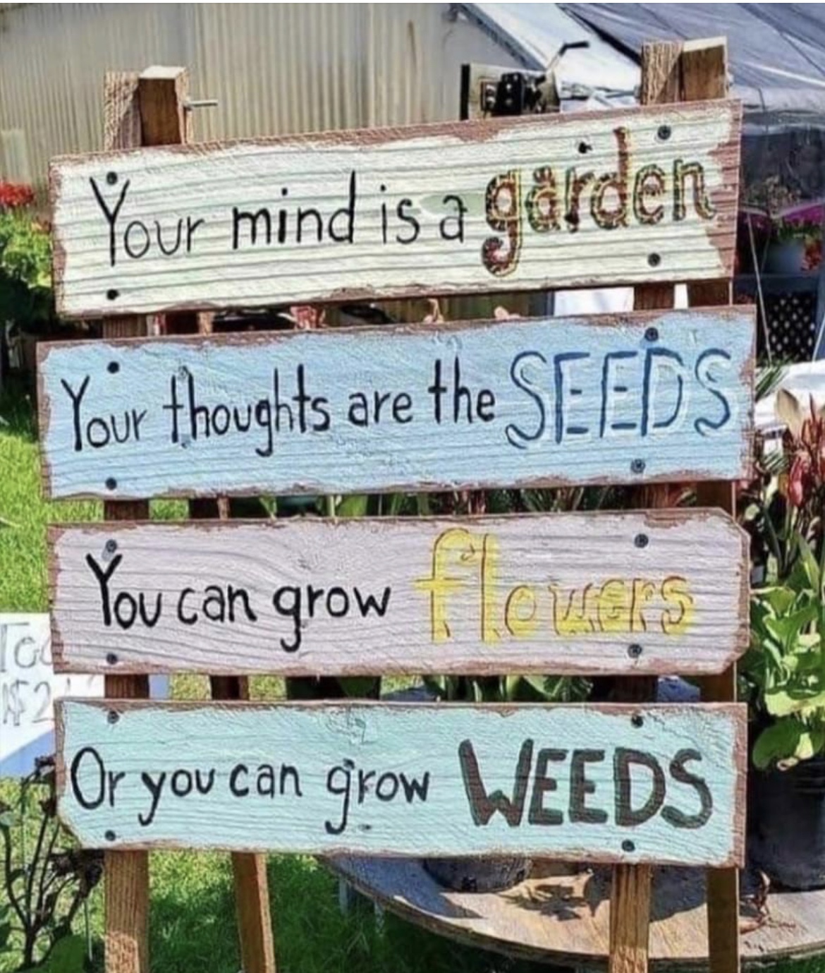 Sign board describing thoughts as seeds