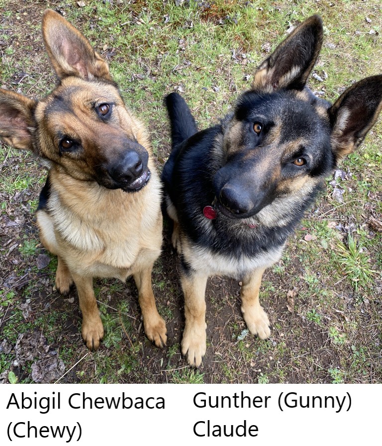 Chewy and Gunny