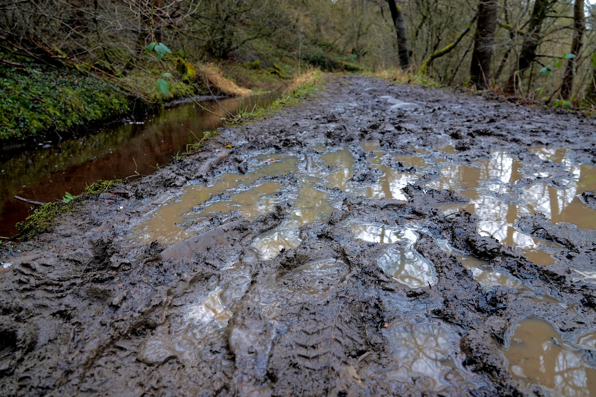 A muddy trail