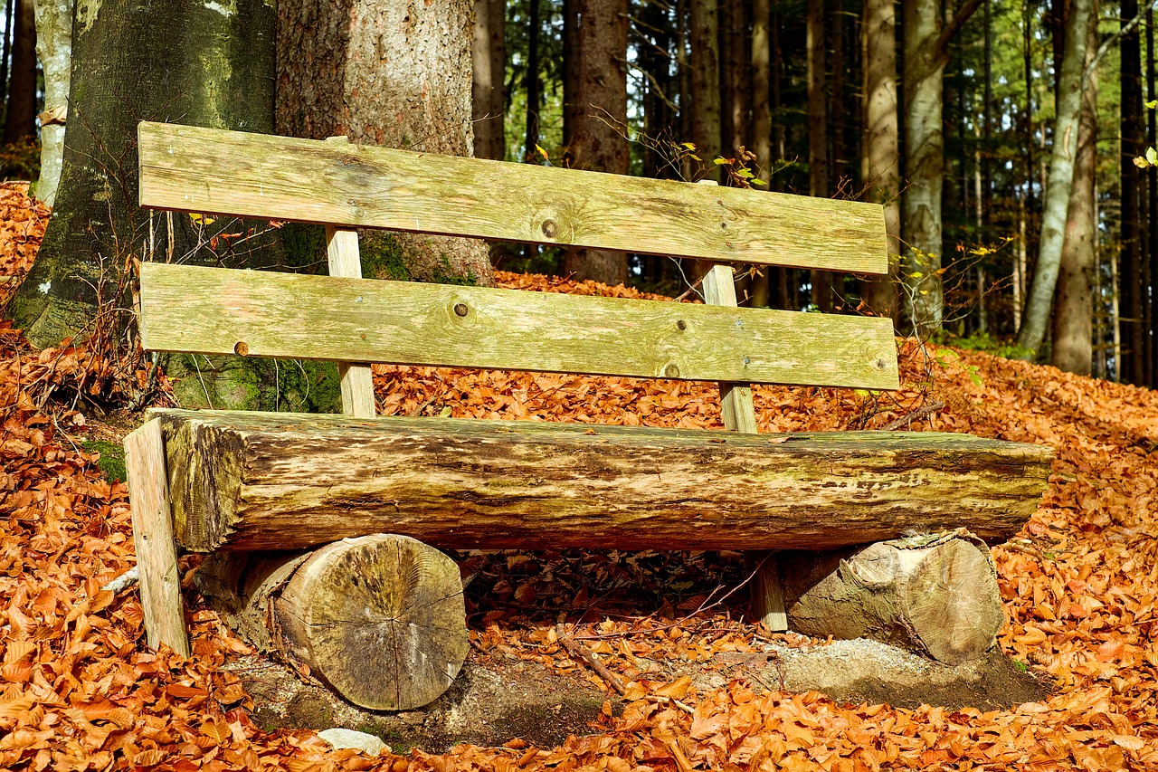 A park bench made of natural wood products