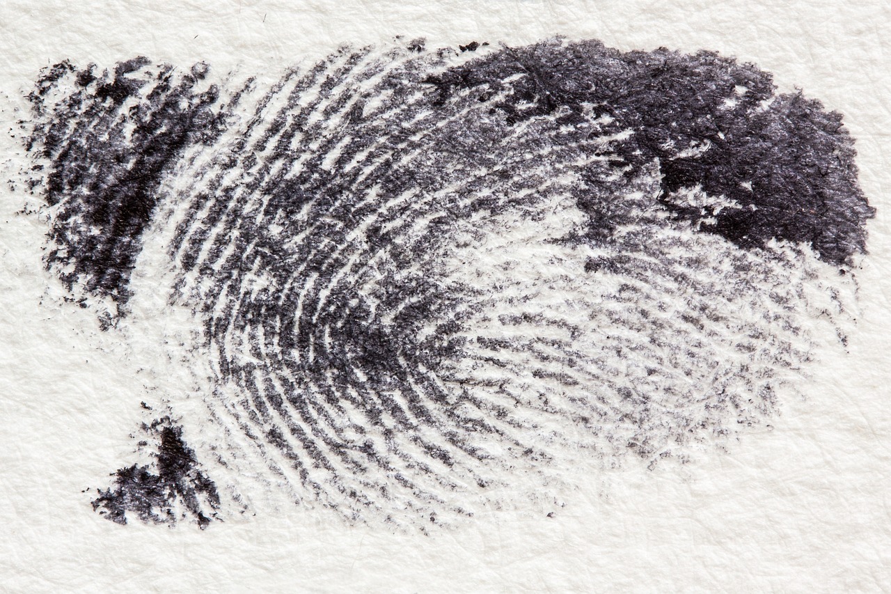 Each fingerprint is uniquely different