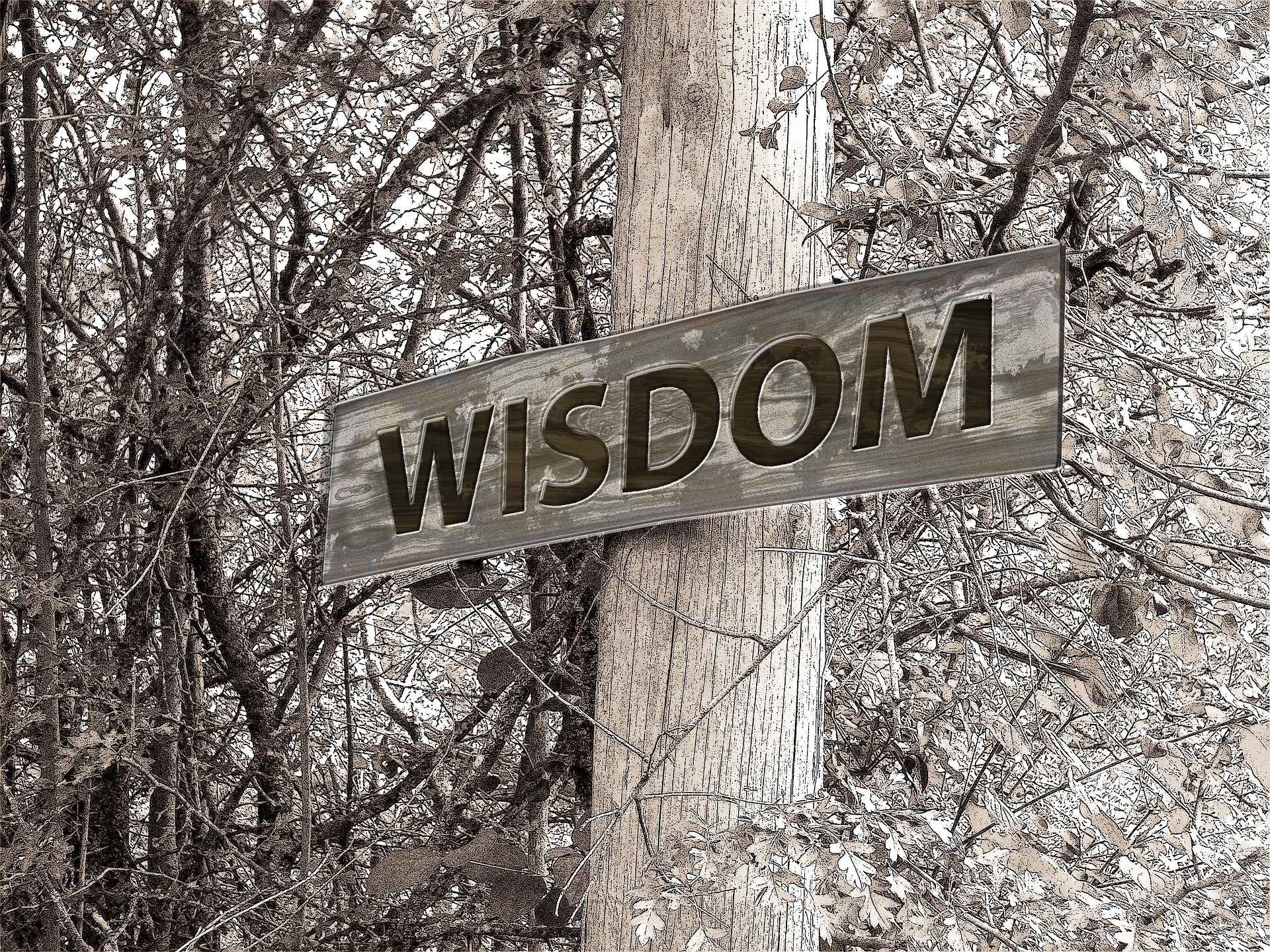 Wisdom Signpost