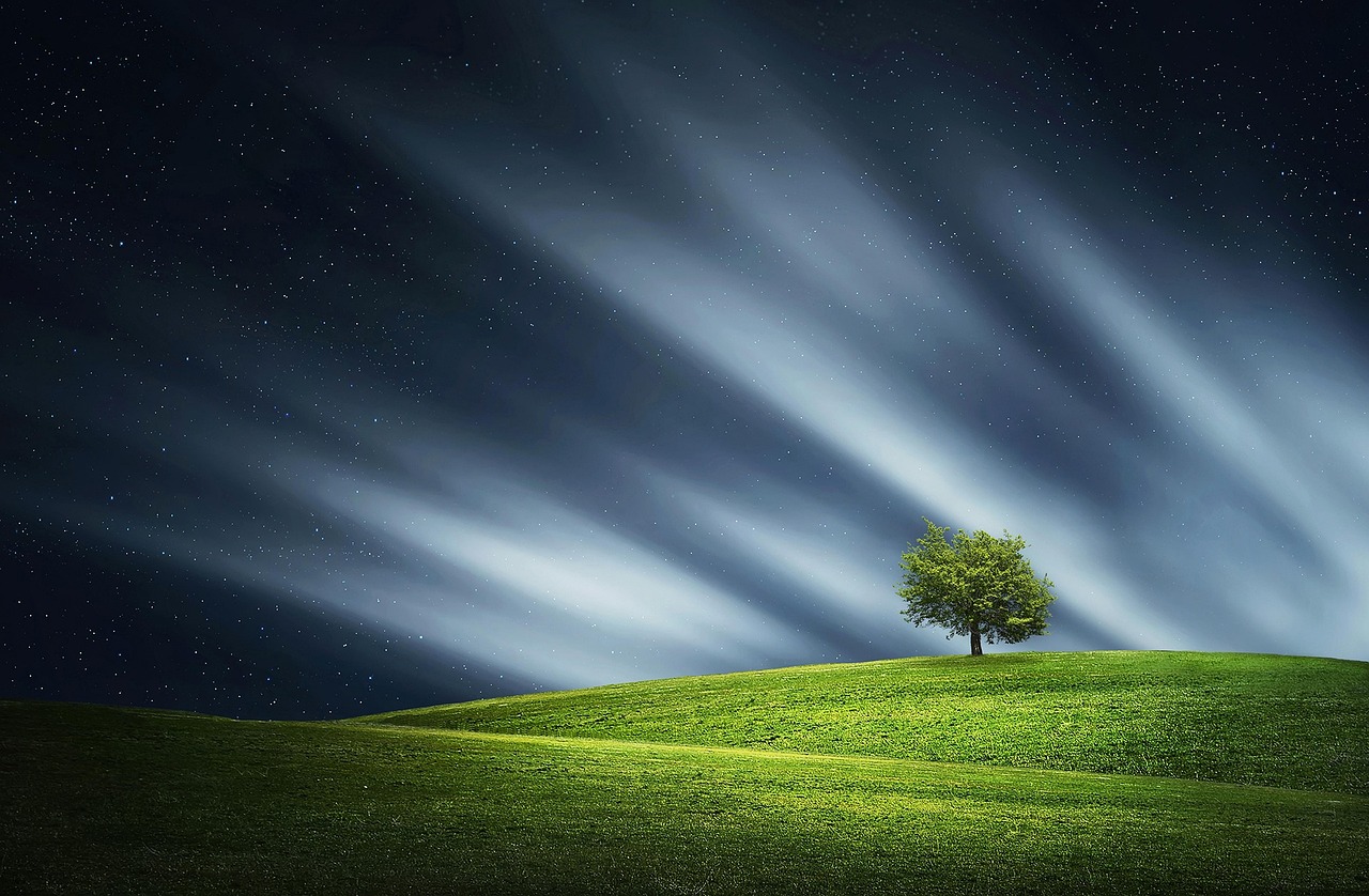 Night Sky, Green Fields, Tree on a Hill, New Day Streaming In