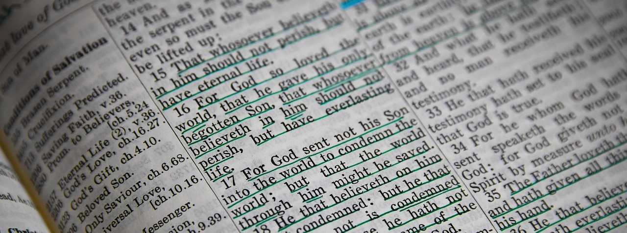 Highlighted English Bible Verses John 3:15-17