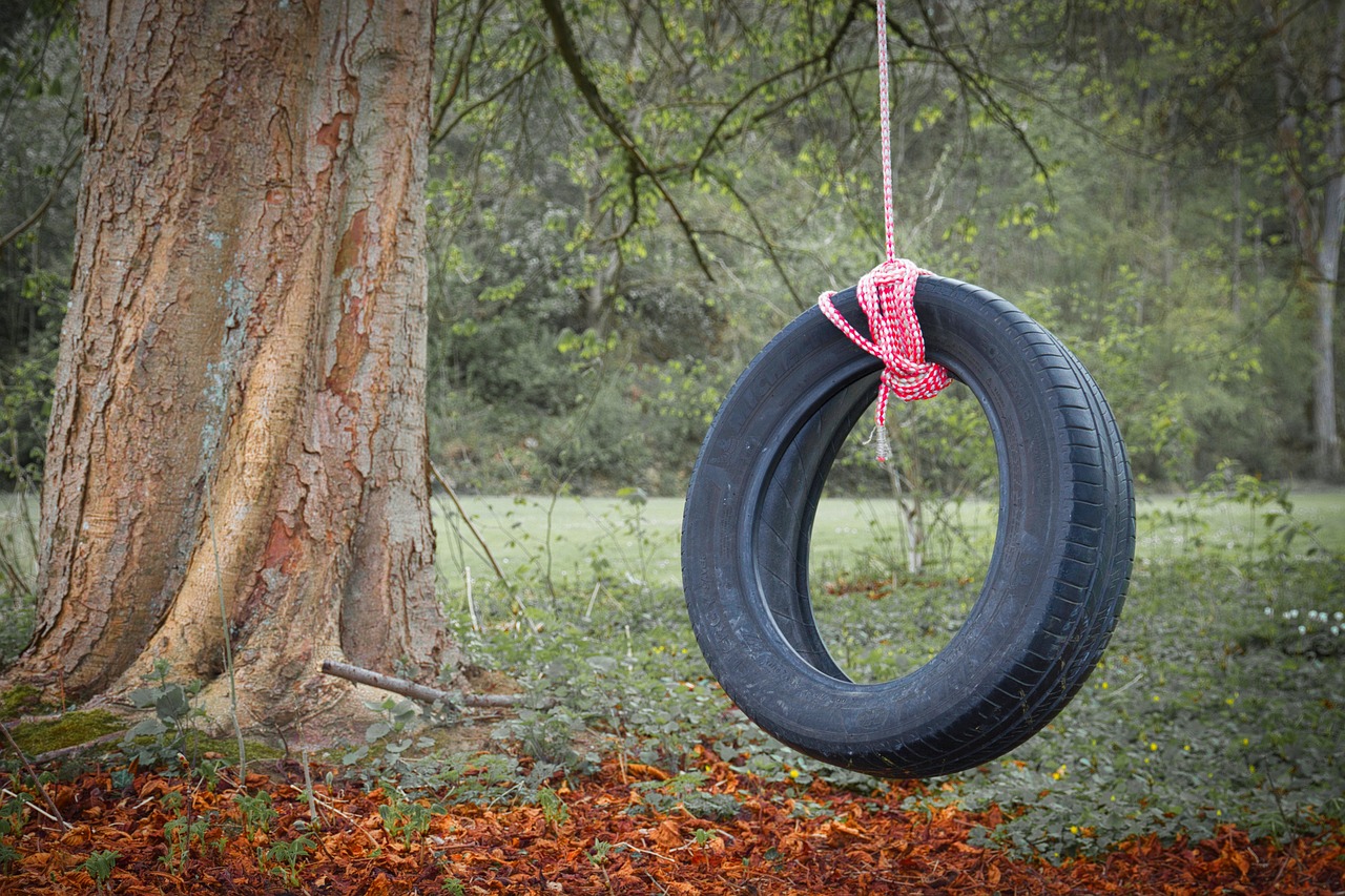 A tire swing
