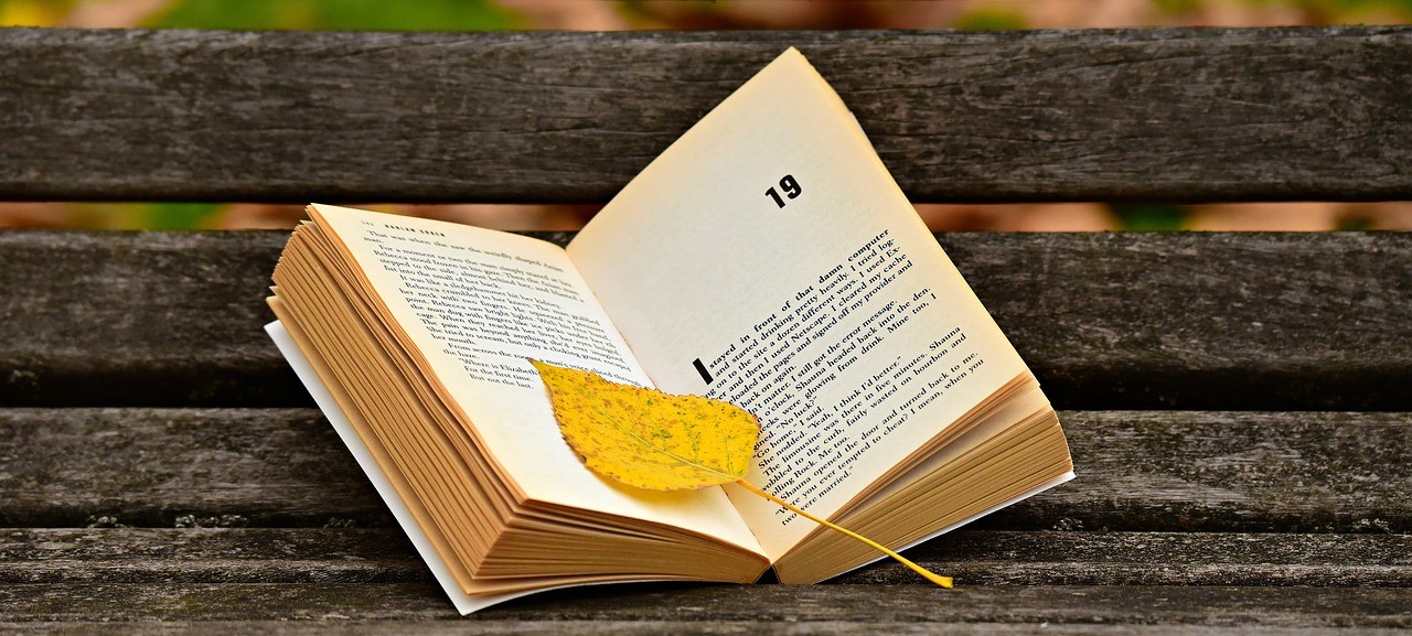Book marked by a yellow leaf on a brown fence panel wall
