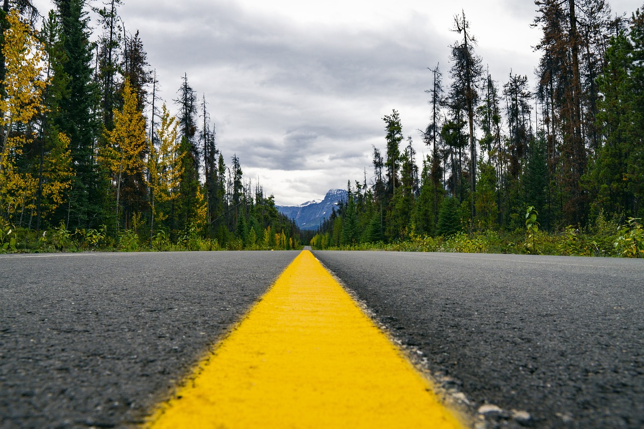 Yellow Stripped road in the wilderness
