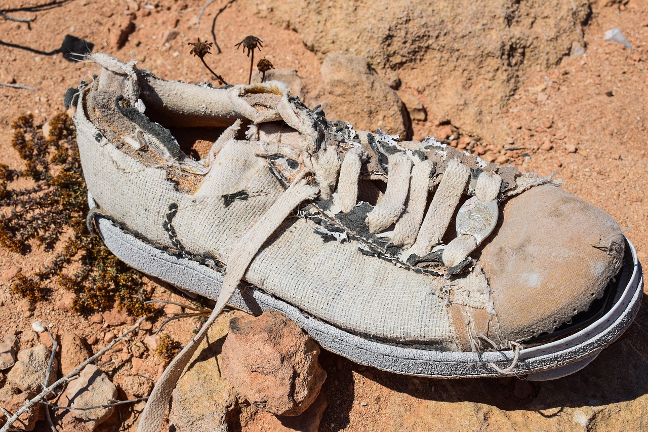 Tattered tennis shoe sitting in the mud