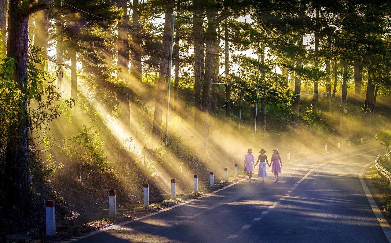 Morning Walk With Friends