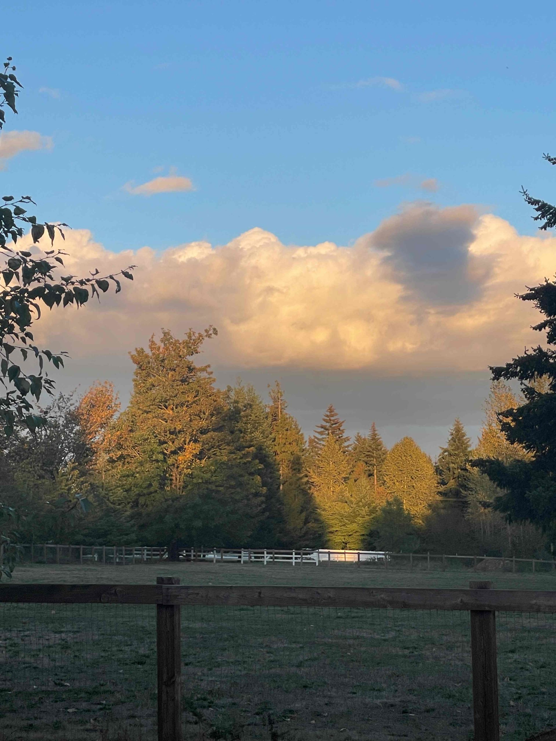 Clouds over Mt Rainier under a spotlight of sun Fall 2024