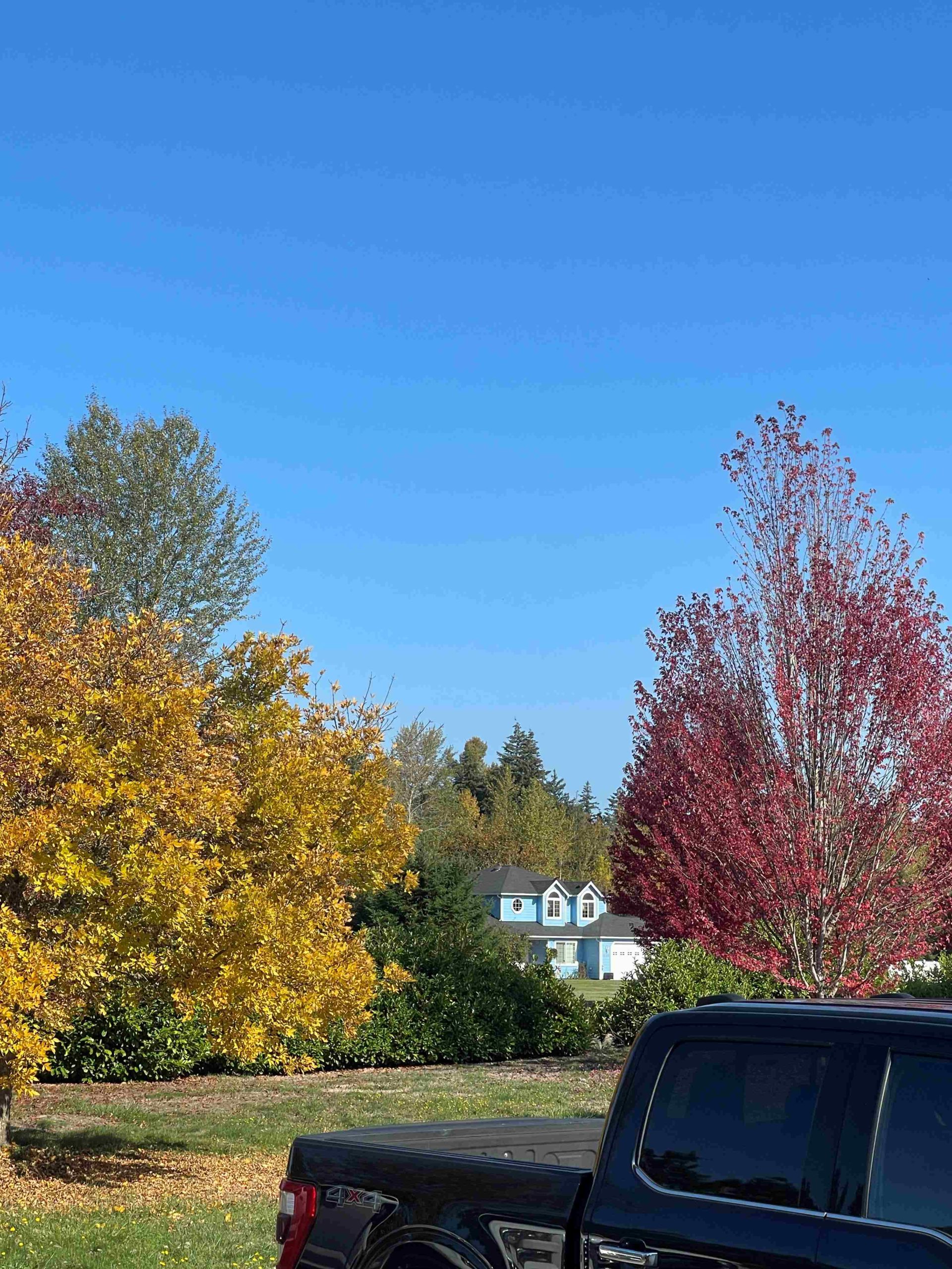 Fall Colors, Blue Sky