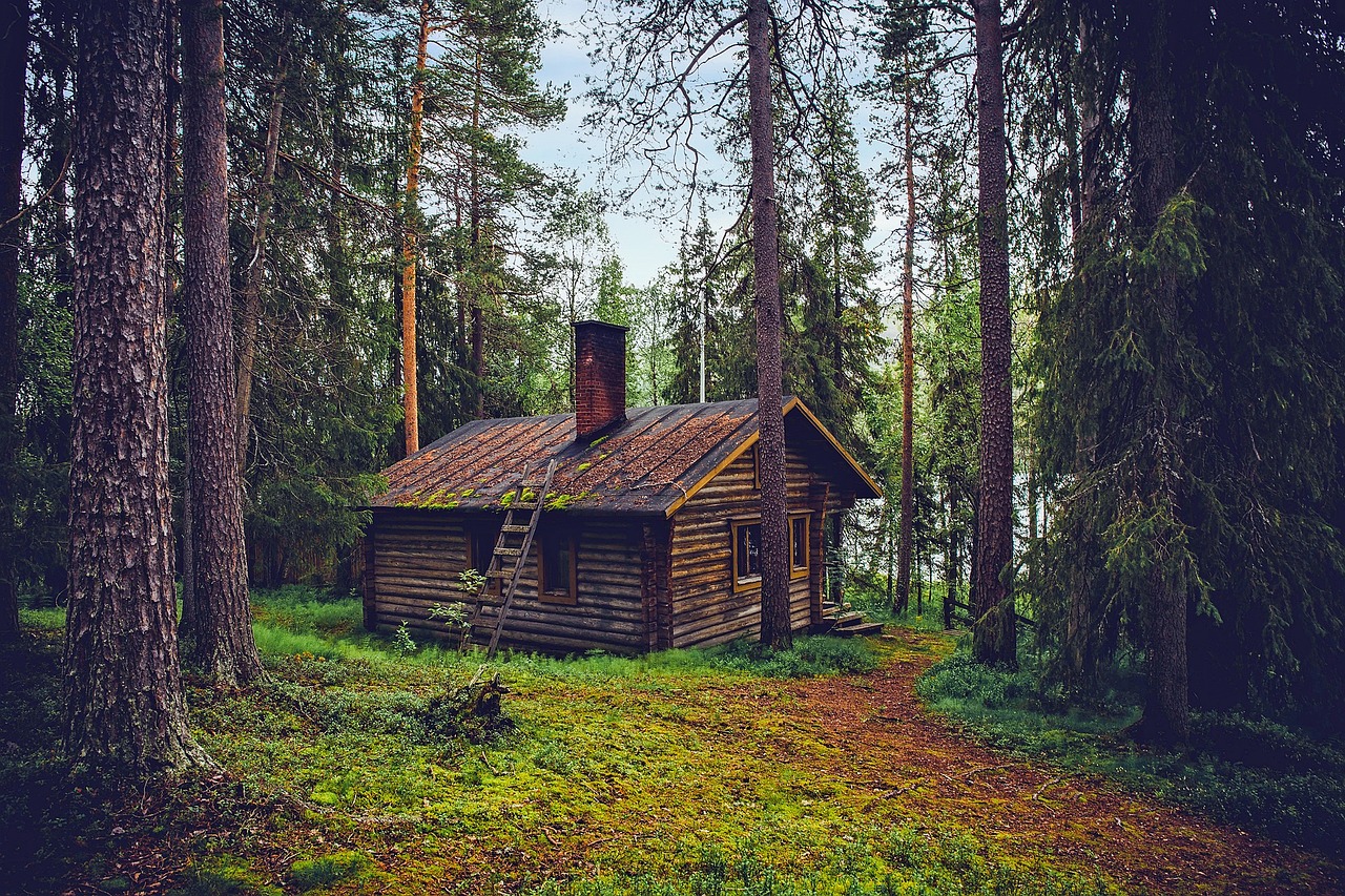 Old Log House in the woods