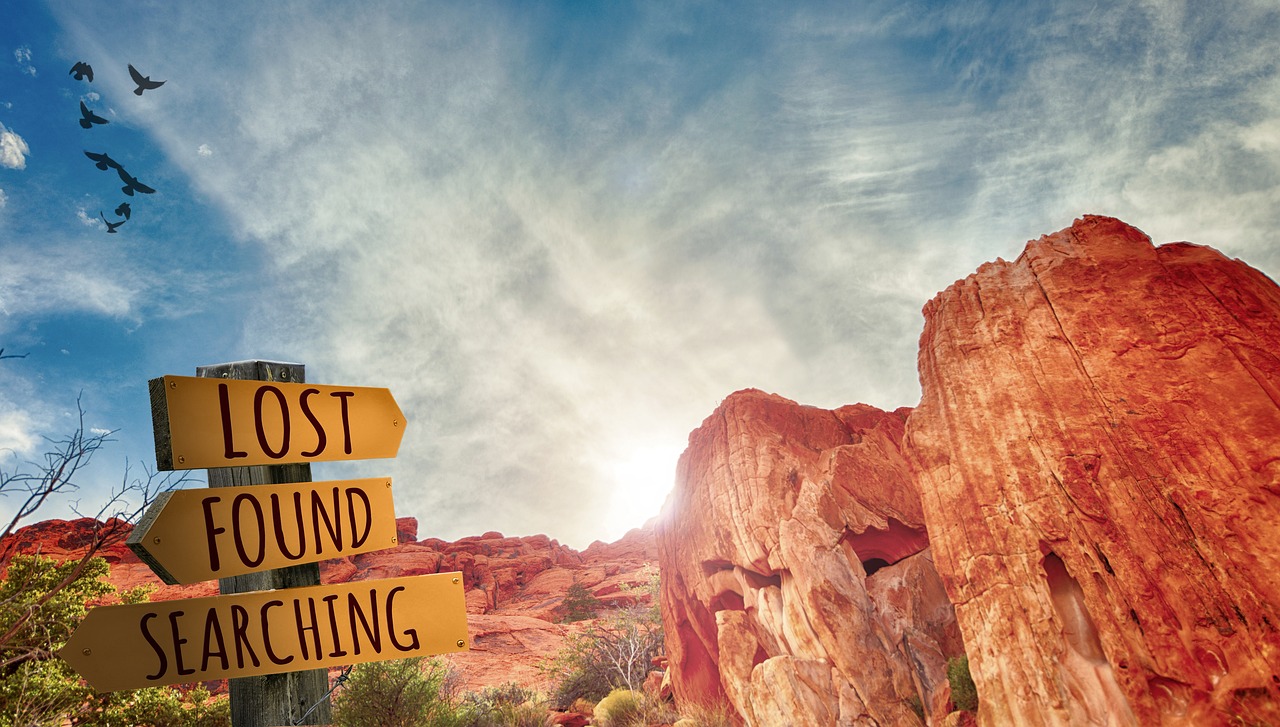 Sign in the wilderness with words lsot found and searching